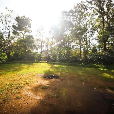 Misty Valley Hill Resorts Nelliyampathy Luaran gambar