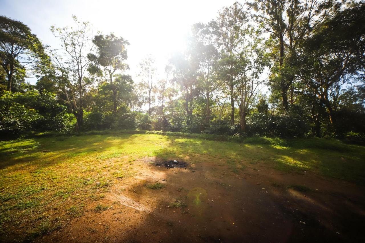 Misty Valley Hill Resorts Nelliyampathy Luaran gambar